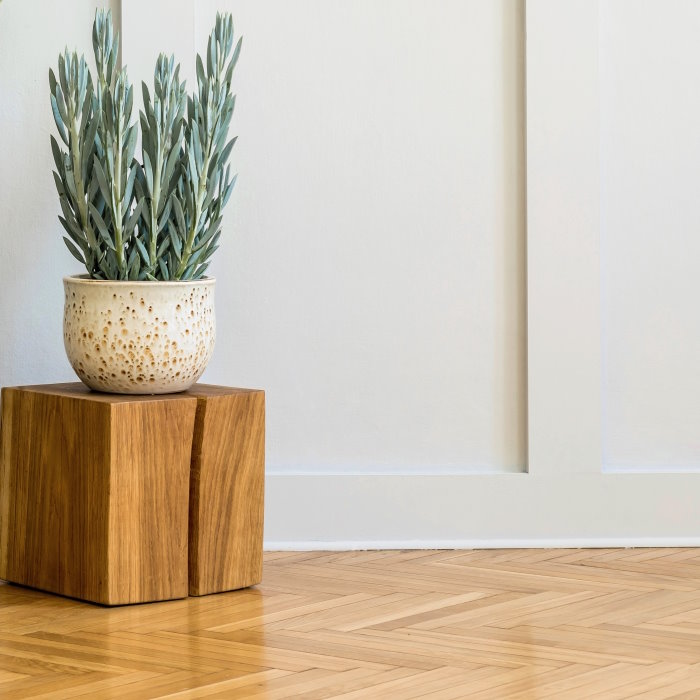 350005 Масло TimberCare Wood Stain (Благородный дуб) 0,2 л